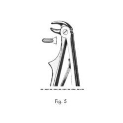 PINZA PEDIATRICA PER INCISIVI E CANINI INFERIORI AMBO I LATI - Fig 5