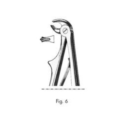 PINZA PEDIATRICA PER PREMOLARI INFERIORI AMBO I LATI - Fig 6