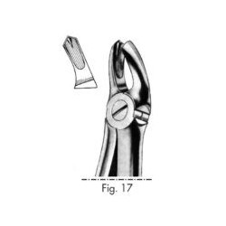 PINZA PER MOLARI SUPERIORI LATO DESTRO - Fig 17