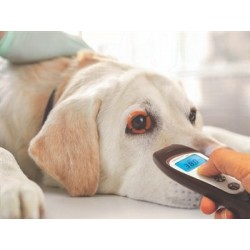 TERMOMETRO A DISTANZA VETERINARIO VISIOFOCUS con Bluetooth